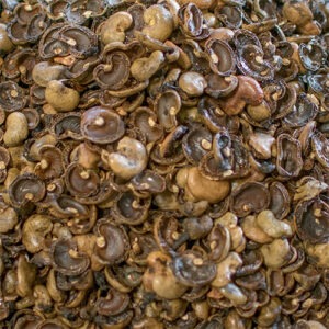 cns